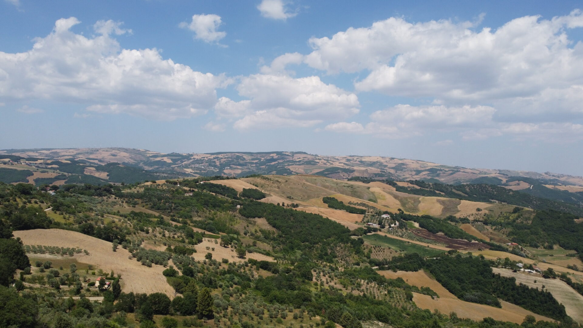 dji fly 20250625 144342 831 1750855530546 photo optimized