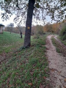 Percorso della Via Micaelica