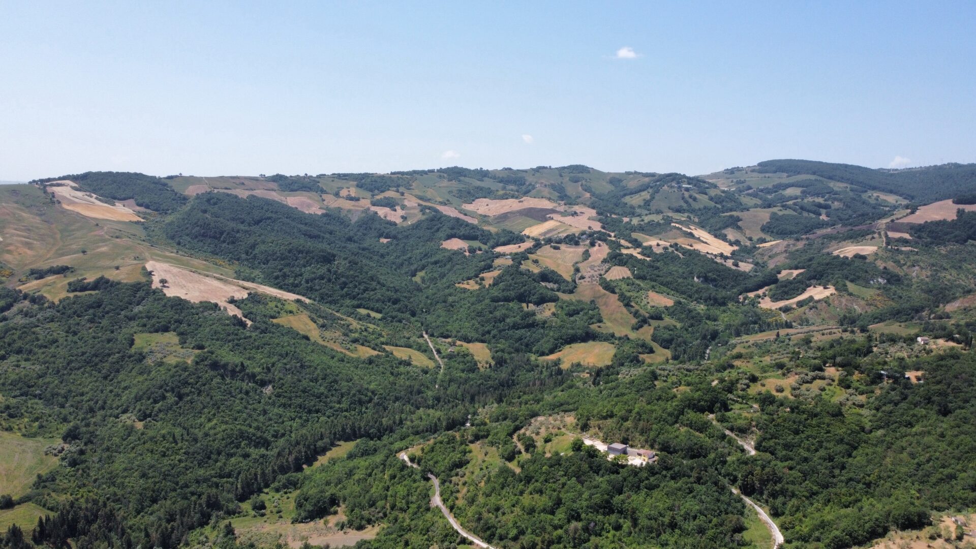 DCIM100MEDIADJI 0675.JPG